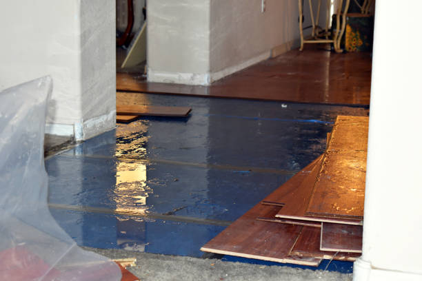 Professional Basement Flood Cleanup technician working in Port Hope, MI